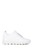 Geox Kadın Beyaz Spherica Bağcıklı Deri Sneaker | Derimod Geox Kadın Beyaz Spherica Bağcıklı Deri Sneaker | Derimod