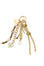 featured-product-image