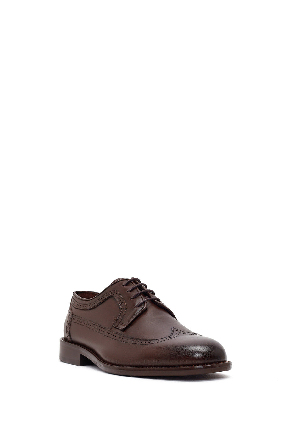 Men's Brown Laced Leather Classic Shoes