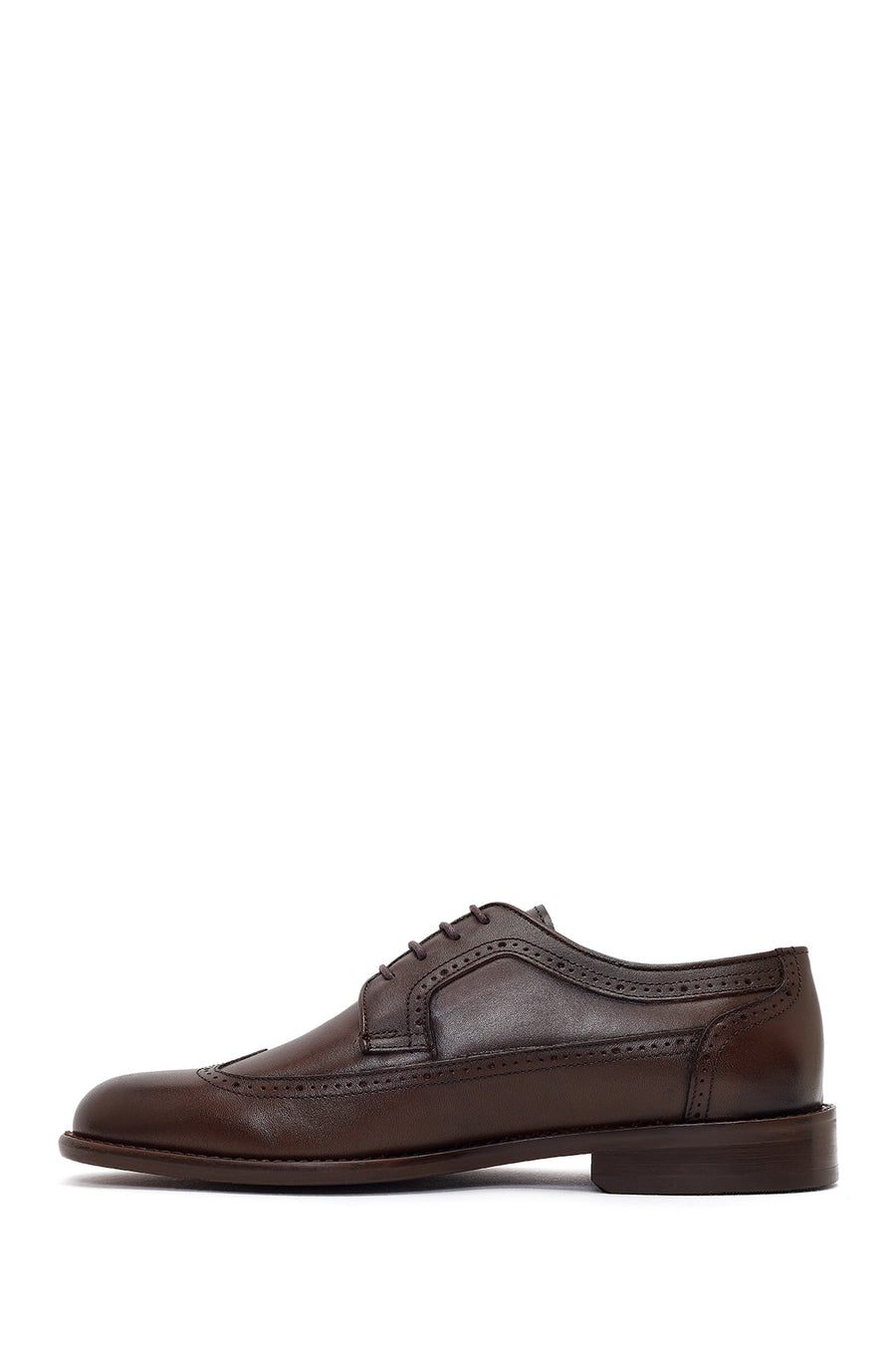 Men's Brown Laced Leather Classic Shoes