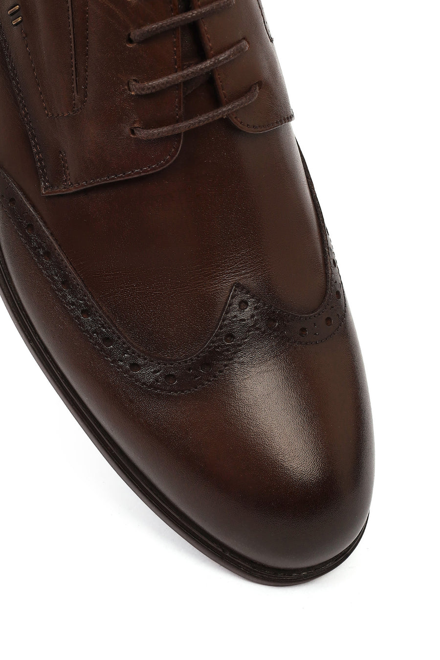 Men's Brown Laced Leather Classic Shoes