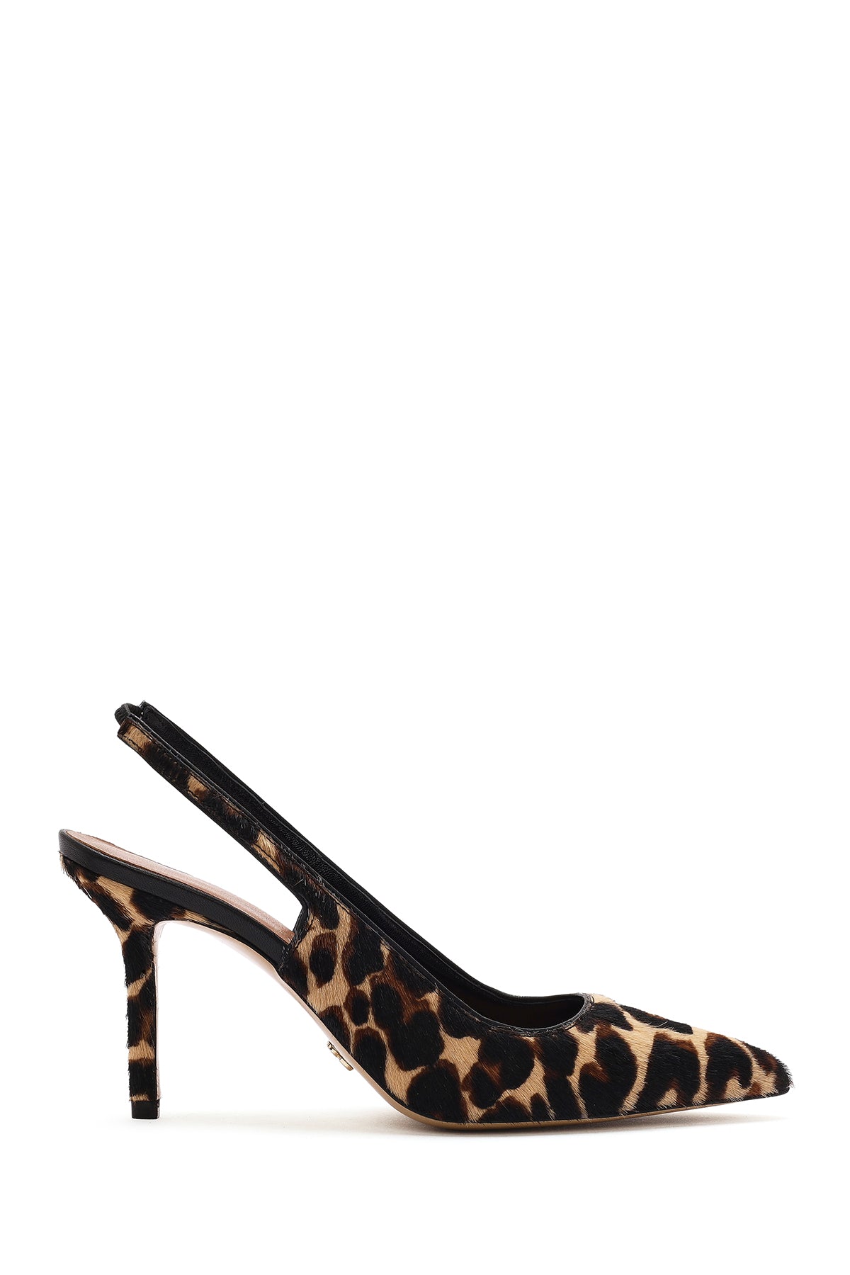 Leopar