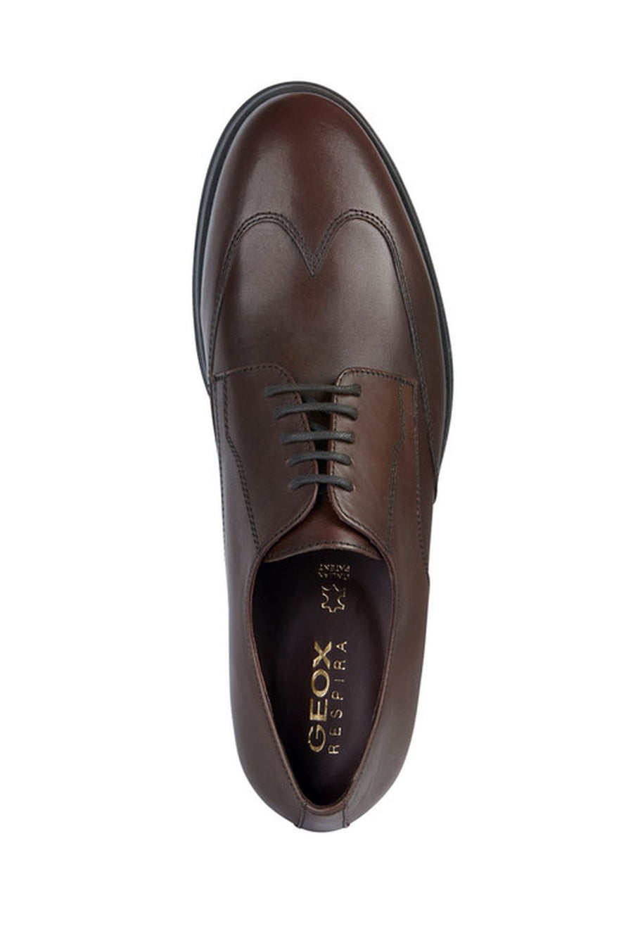 Geox Men's Brown Decio Laced Leather Classic Shoes