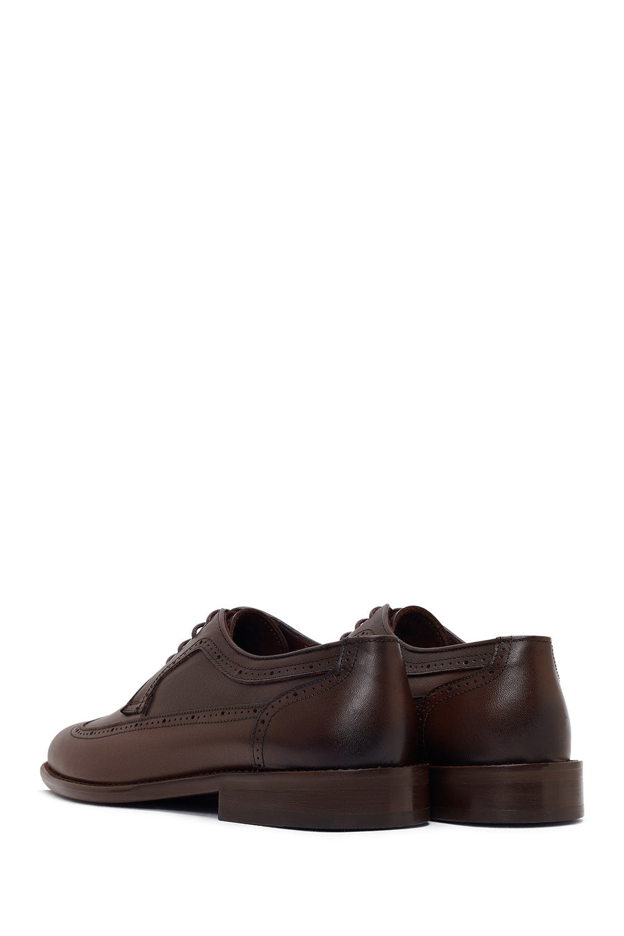 Men's Brown Laced Leather Classic Shoes