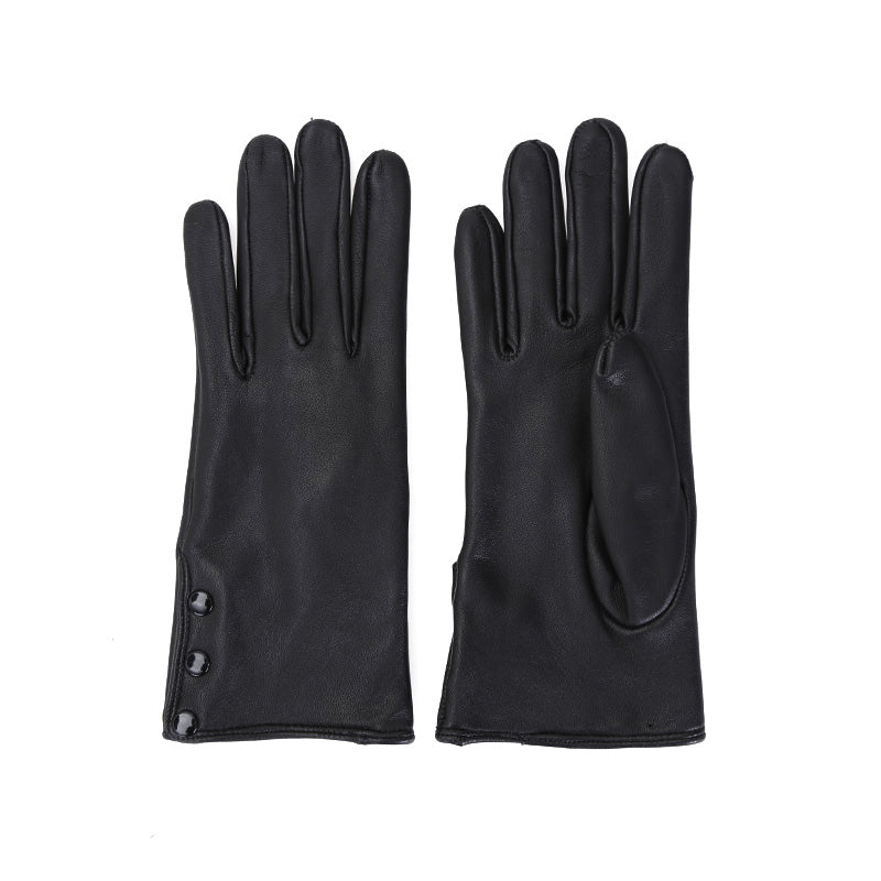 Women Gloves 000A2D450118 | Derimod