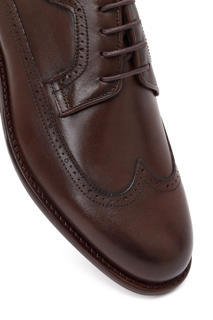 Men's Brown Laced Leather Classic Shoes